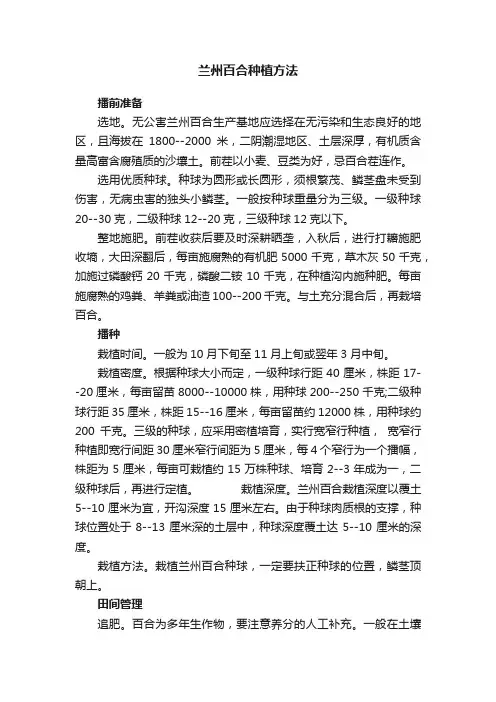 兰州百合种植方法