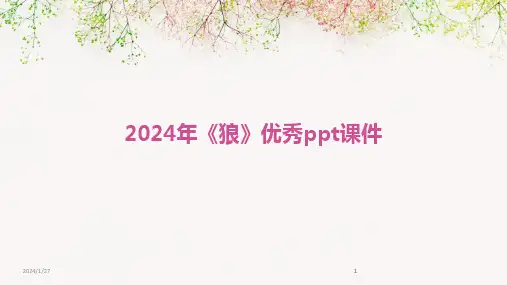 2024版年《狼》优秀ppt课件[1]