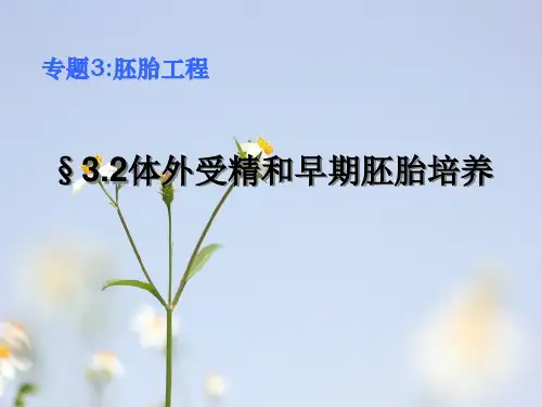 体外受精和早期胚胎培养PPT教学课件