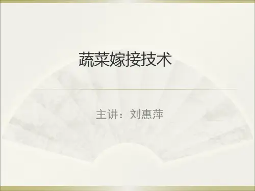 蔬菜嫁接技术(靠接法)