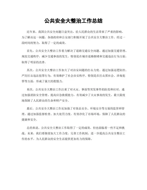 公共安全大整治工作总结
