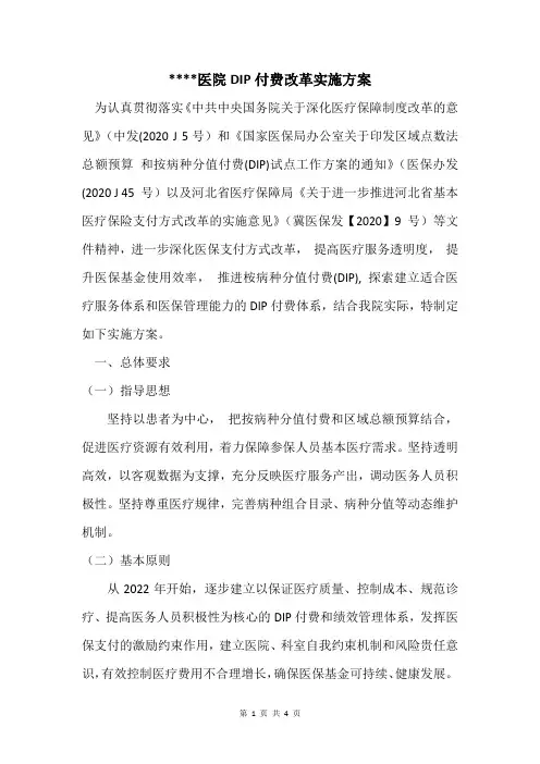 DIP支付实施方案
