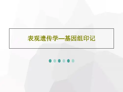 表观遗传学—基因组印记25页文档