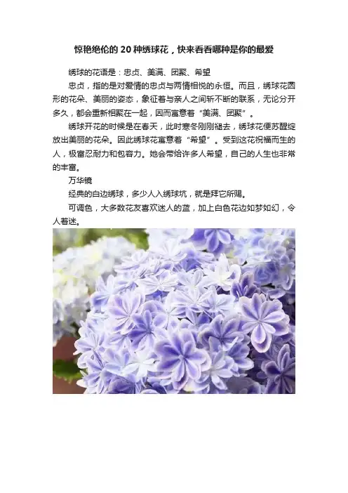 惊艳绝伦的20种绣球花，快来看看哪种是你的最爱