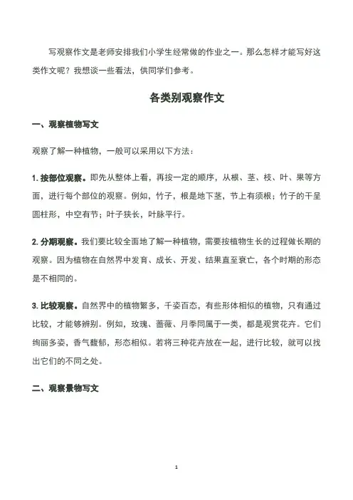 写好作文必读：如何写观察作文讲义