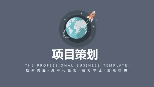 项目策划PPT