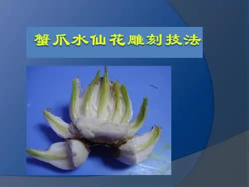 1 水仙花雕刻 2