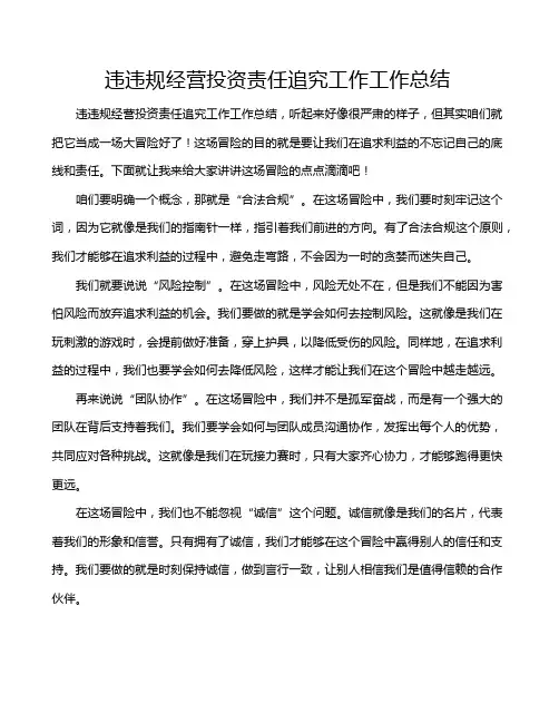 违违规经营投资责任追究工作工作总结