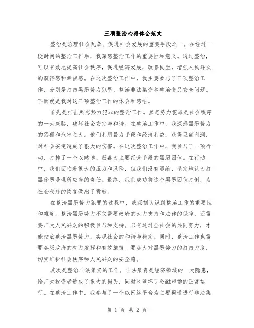 三项整治心得体会范文