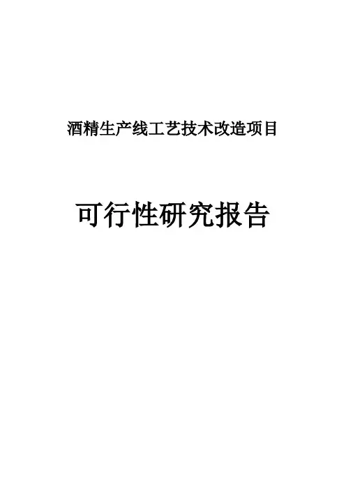 酒精技术改造项目可行性研究报告