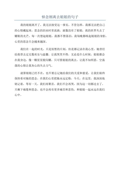 悼念刚离去姐姐的句子