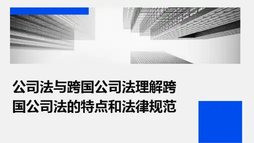 公司法与跨国公司法理解跨国公司法的特点和法律规范