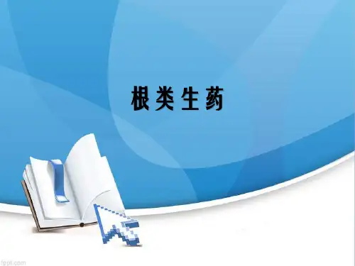 生药学 根类生药 人参 PPT