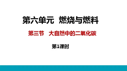 大自然中的二氧化碳第1课时第2课时课件(鲁教版化学)