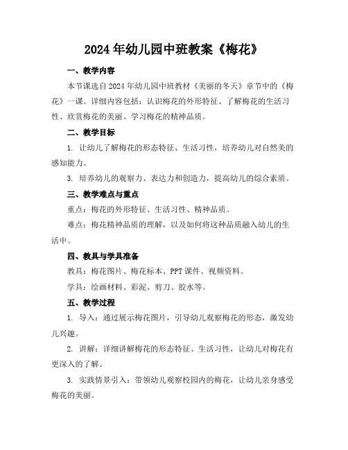 2024年幼儿园中班教案《梅花》