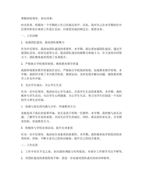 学校领导中层个人工作总结