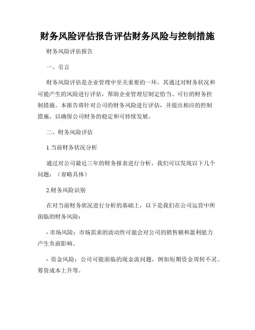 财务风险评估报告评估财务风险与控制措施