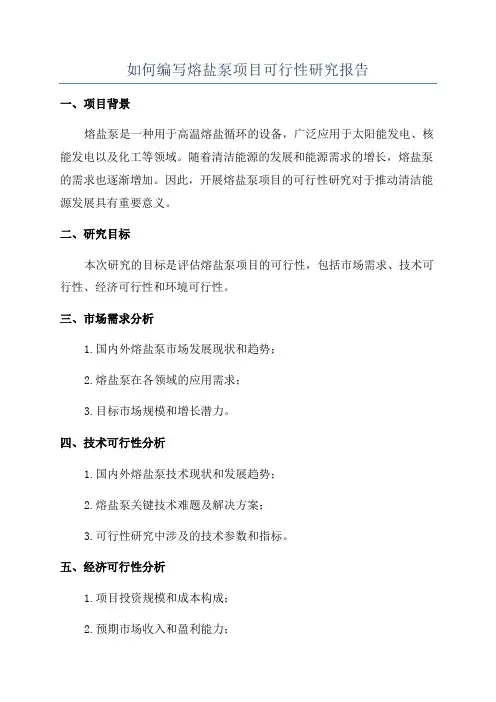 如何编写熔盐泵项目可行性研究报告
