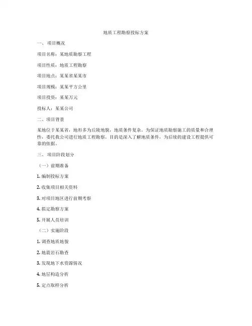 地质工程勘察投标方案