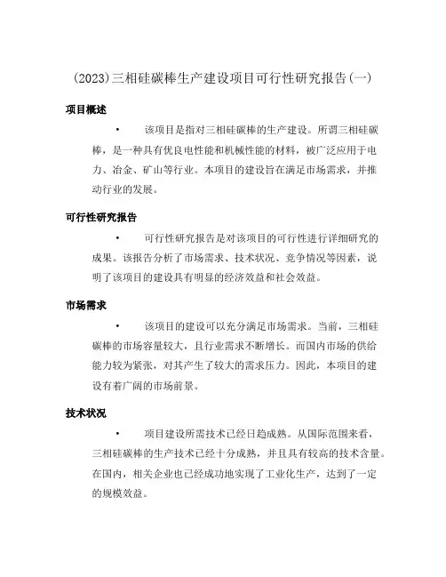 (2023)三相硅碳棒生产建设项目可行性研究报告(一)