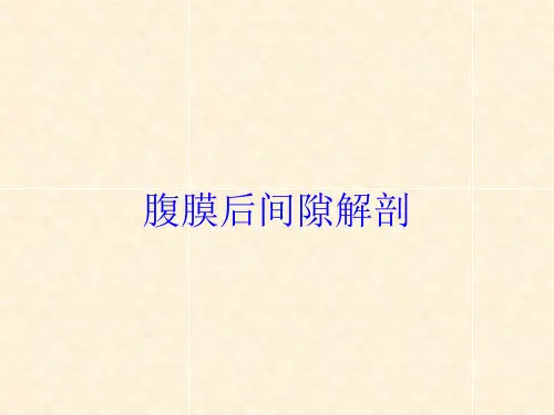 腹膜后间隙解剖培训课件