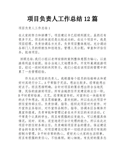 项目负责人工作总结12篇