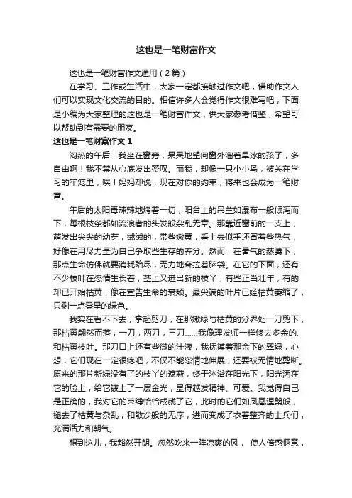 这也是一笔财富作文