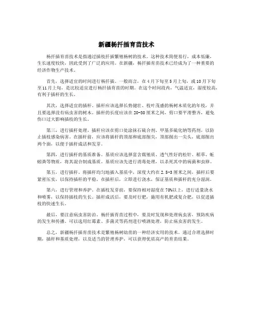 新疆杨扦插育苗技术
