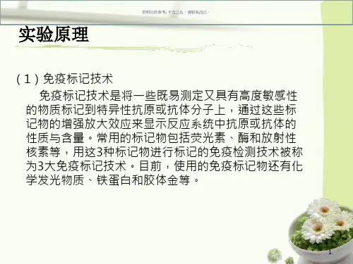 辣根过氧化物酶标记
