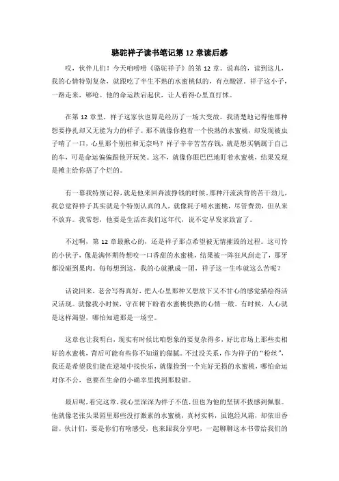 骆驼祥子读书笔记第12章读后感