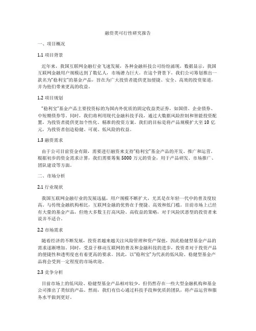 融资类可行性研究报告