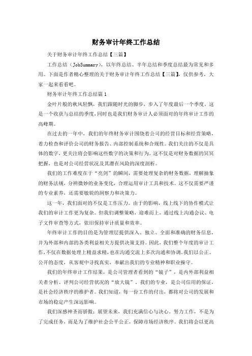 财务审计年终工作总结