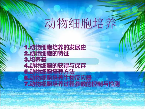 动物细胞培养
