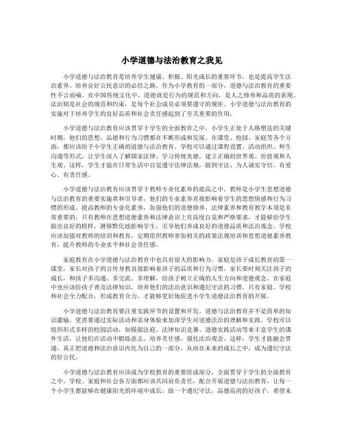 小学道德与法治教育之我见