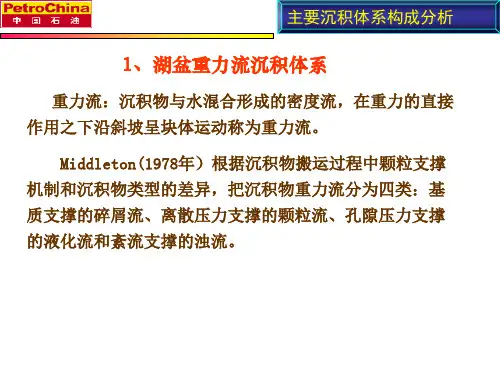 湖盆重力流沉积体系