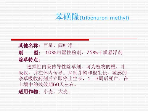 苯磺隆(tribenuron-methyl)