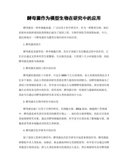 酵母菌作为模型生物在研究中的应用