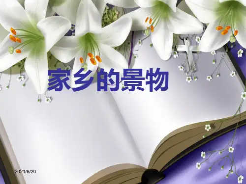 人教(部编版)三年级下册语文《语文园地一习作《家乡的景物》》