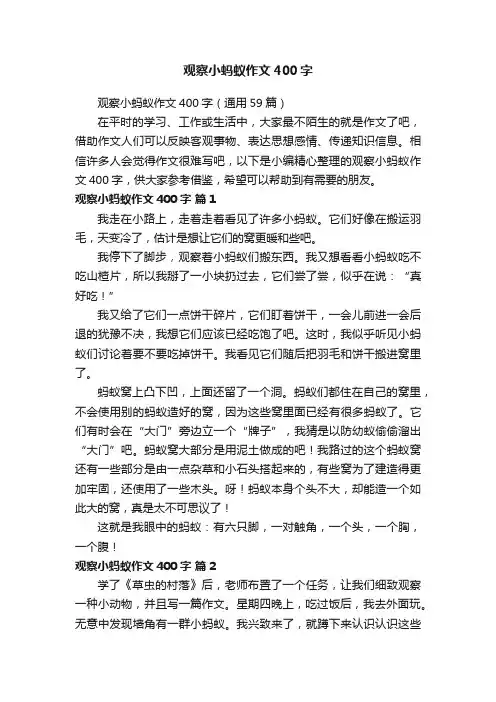 观察小蚂蚁作文400字
