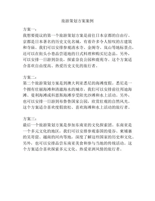 旅游策划方案案例