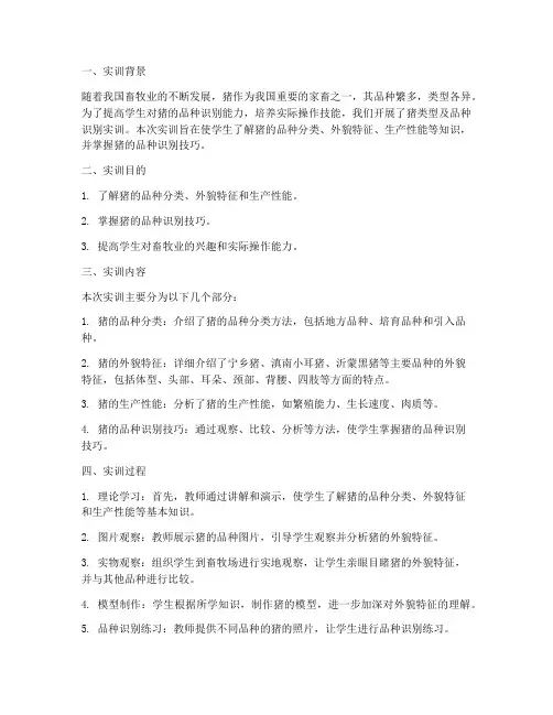 猪类型及品种识别实训报告
