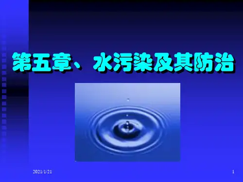 水污染及其防治精品PPT课件