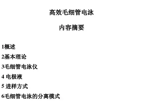 毛细管电泳分析解析