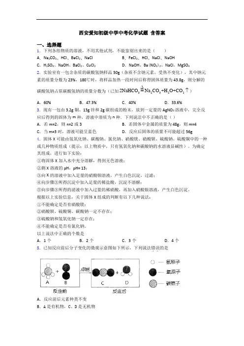 西安爱知初级中学中考化学试题 含答案