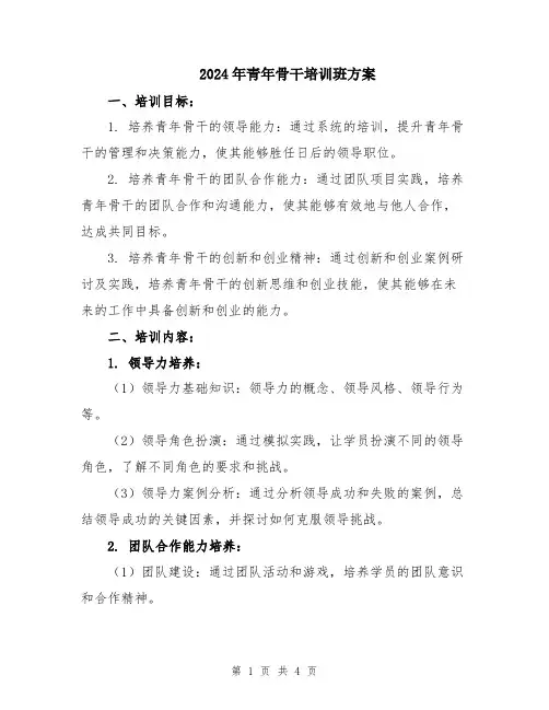 2024年青年骨干培训班方案