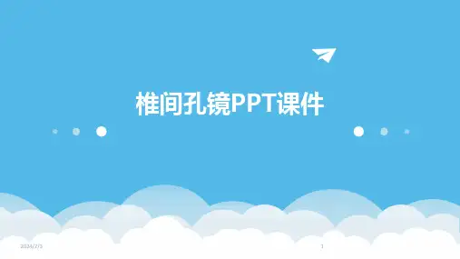 2024年度椎间孔镜PPT课件