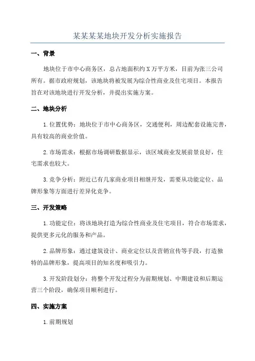 某某某某地块开发分析实施报告