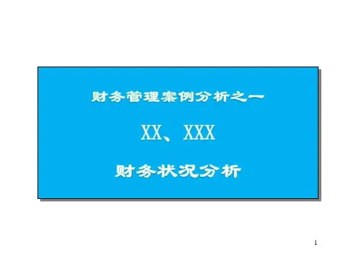 财务咨询案例—企业财务状况分析
