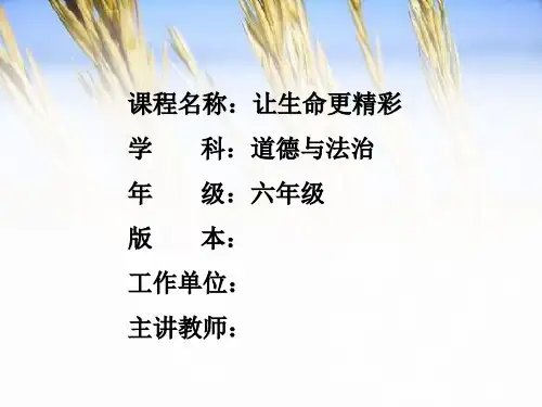 初中道德与法治_让生命更精彩教学课件设计