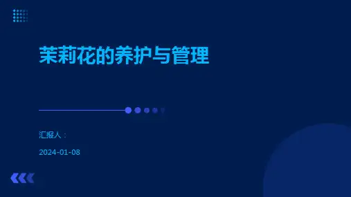 茉莉花的养护与管理